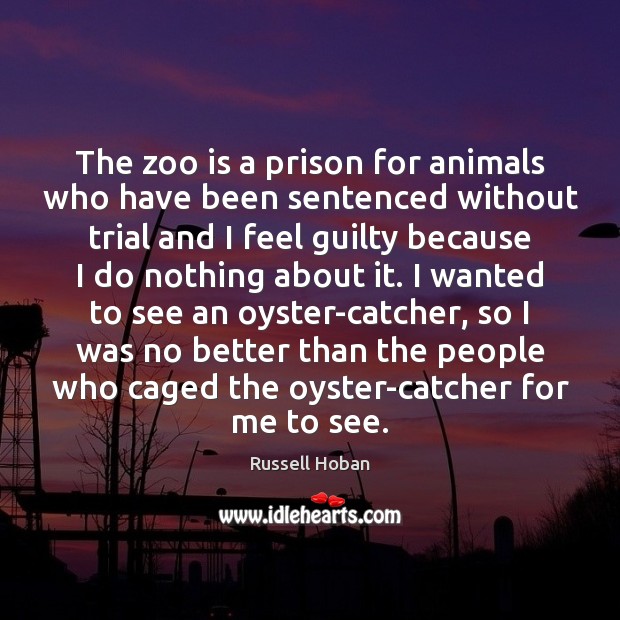 The zoo is a prison for animals who have been sentenced without 