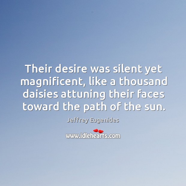 Their desire was silent yet magnificent, like a thousand daisies attuning their Jeffrey Eugenides Picture Quote