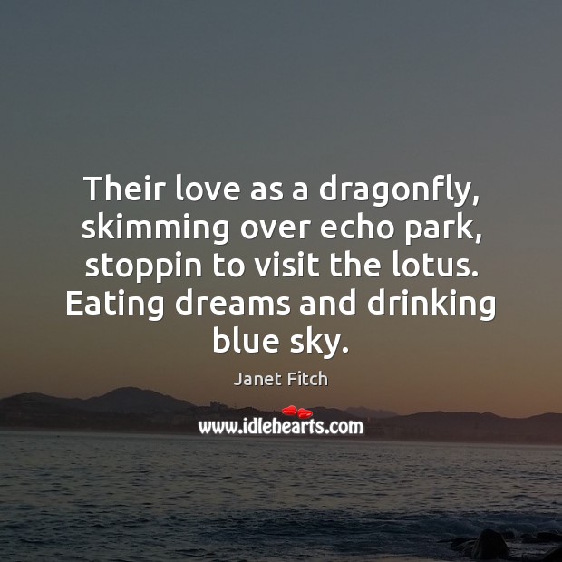 Their love as a dragonfly, skimming over echo park, stoppin to visit Janet Fitch Picture Quote