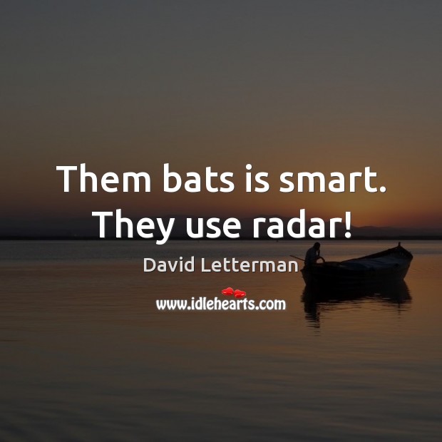 Them bats is smart. They use radar! David Letterman Picture Quote