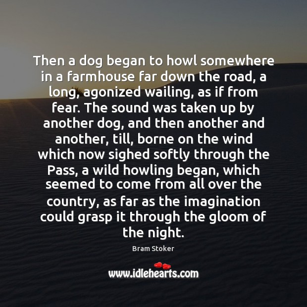 Then a dog began to howl somewhere in a farmhouse far down Bram Stoker Picture Quote