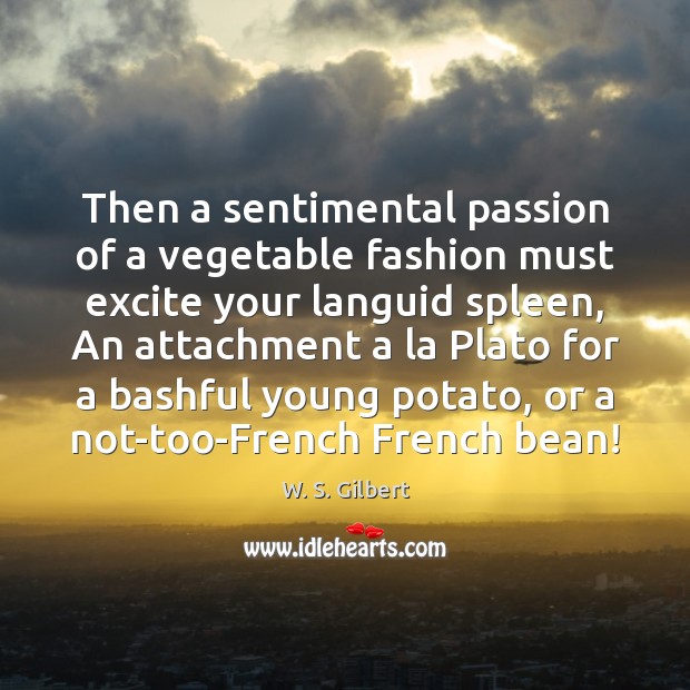 Then a sentimental passion of a vegetable fashion must excite your languid W. S. Gilbert Picture Quote