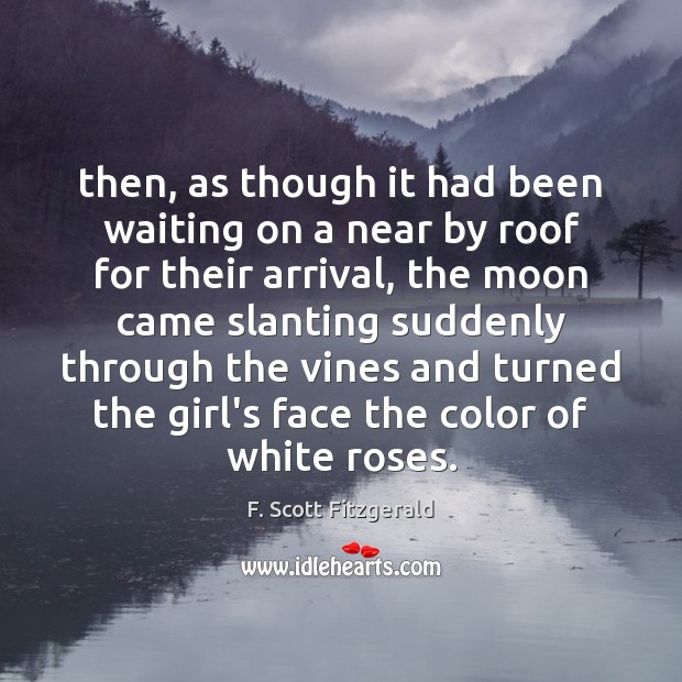 Then, as though it had been waiting on a near by roof F. Scott Fitzgerald Picture Quote