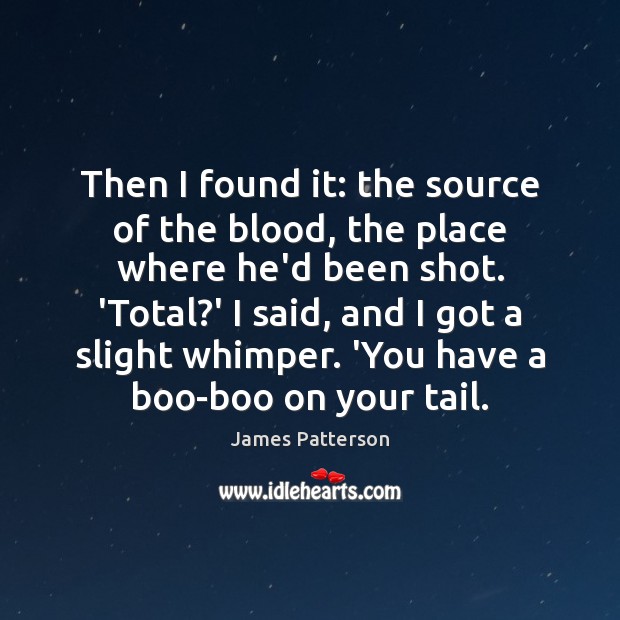 Then I found it: the source of the blood, the place where James Patterson Picture Quote