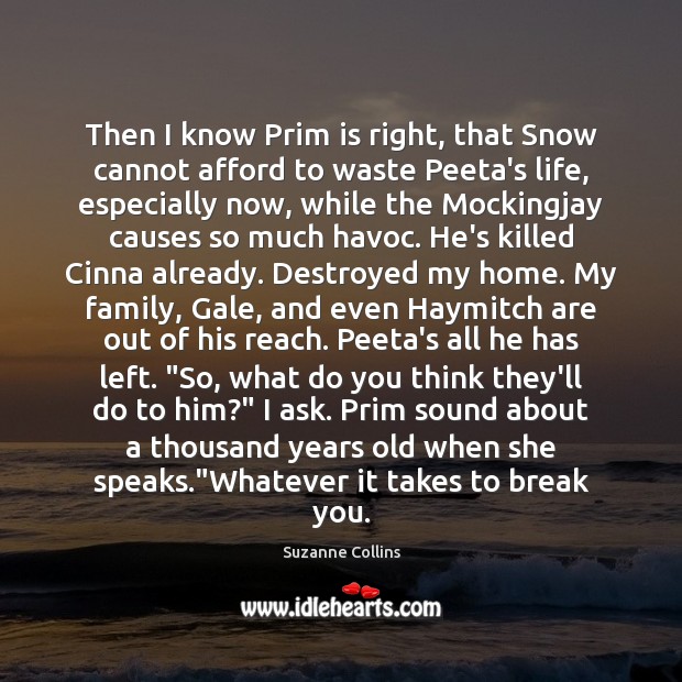 Then I know Prim is right, that Snow cannot afford to waste Image