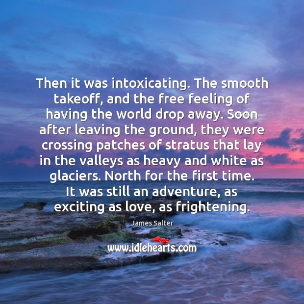Then it was intoxicating. The smooth takeoff, and the free feeling of James Salter Picture Quote