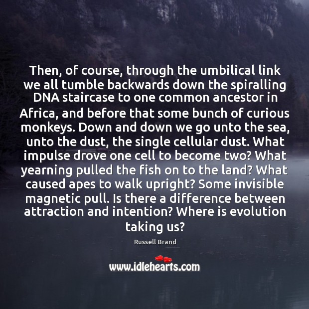 Then, of course, through the umbilical link we all tumble backwards down Image