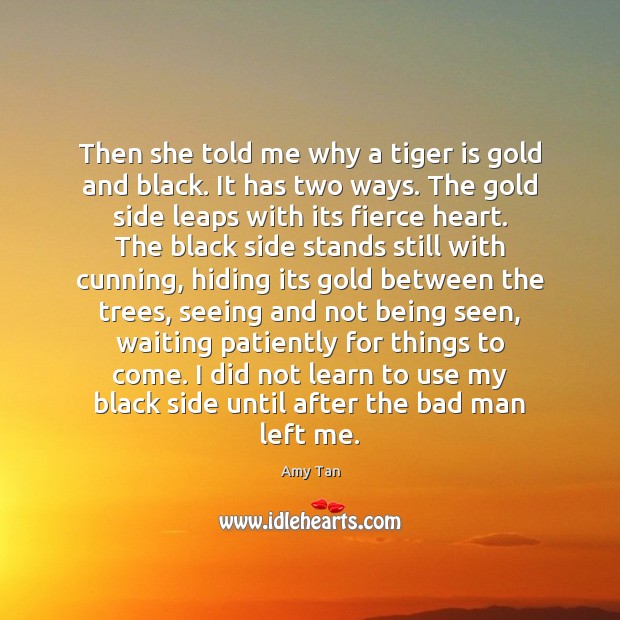 Then she told me why a tiger is gold and black. It Amy Tan Picture Quote