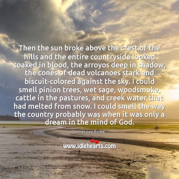 Then the sun broke above the crest of the hills and the James Lee Burke Picture Quote
