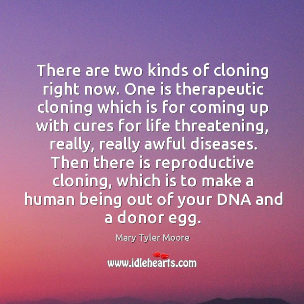 Then there is reproductive cloning, which is to make a human being out of your dna and a donor egg. Image