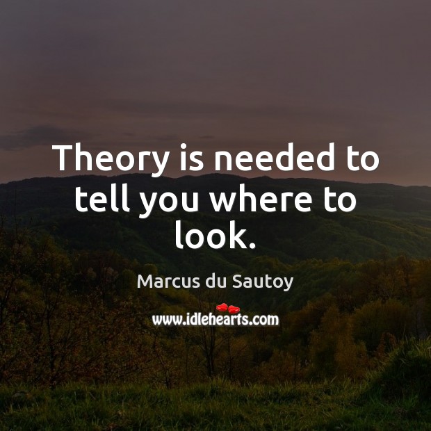 Theory is needed to tell you where to look. Marcus du Sautoy Picture Quote