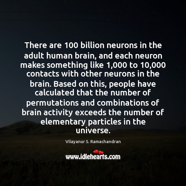 There are 100 billion neurons in the adult human brain, and each neuron Vilayanur S. Ramachandran Picture Quote