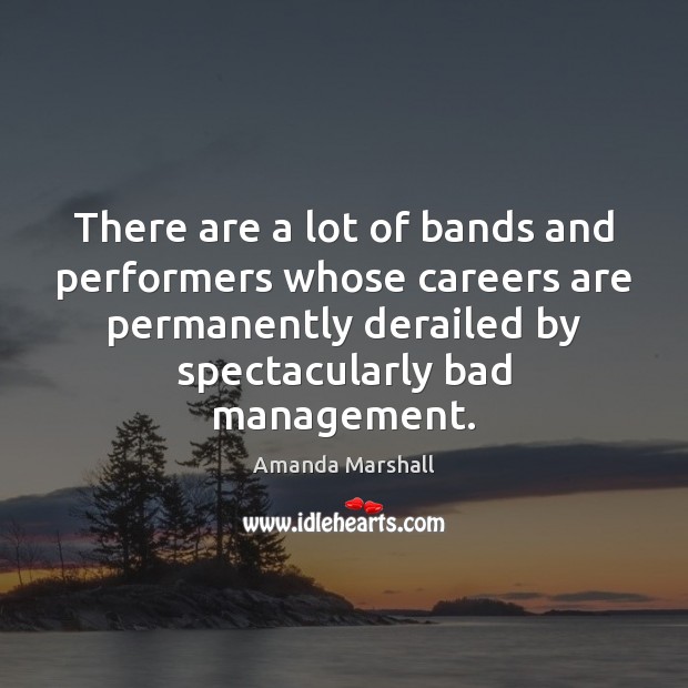 There are a lot of bands and performers whose careers are permanently Amanda Marshall Picture Quote