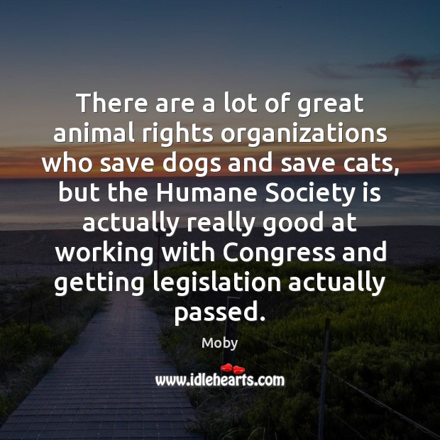There are a lot of great animal rights organizations who save dogs Moby Picture Quote