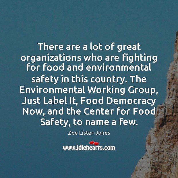 There are a lot of great organizations who are fighting for food Zoe Lister-Jones Picture Quote