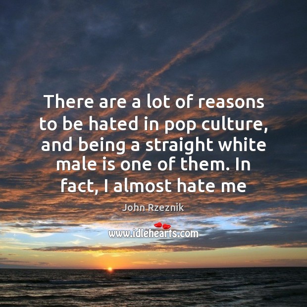 There are a lot of reasons to be hated in pop culture, John Rzeznik Picture Quote