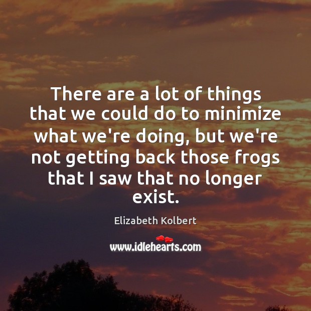 There are a lot of things that we could do to minimize Elizabeth Kolbert Picture Quote