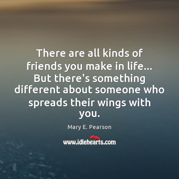 There are all kinds of friends you make in life… But there’s Mary E. Pearson Picture Quote