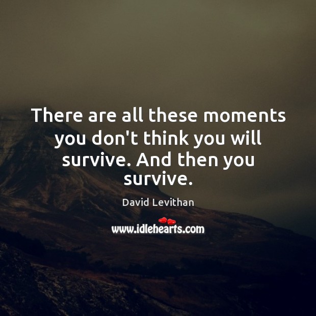 There are all these moments you don’t think you will survive. And then you survive. David Levithan Picture Quote