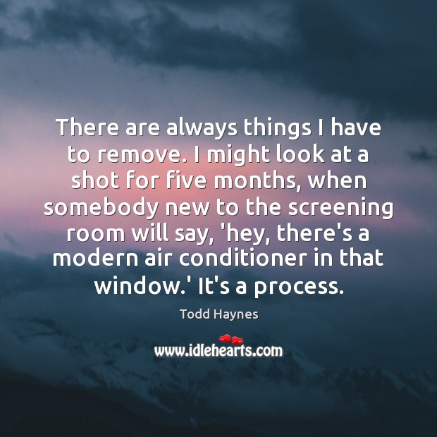 There are always things I have to remove. I might look at Todd Haynes Picture Quote