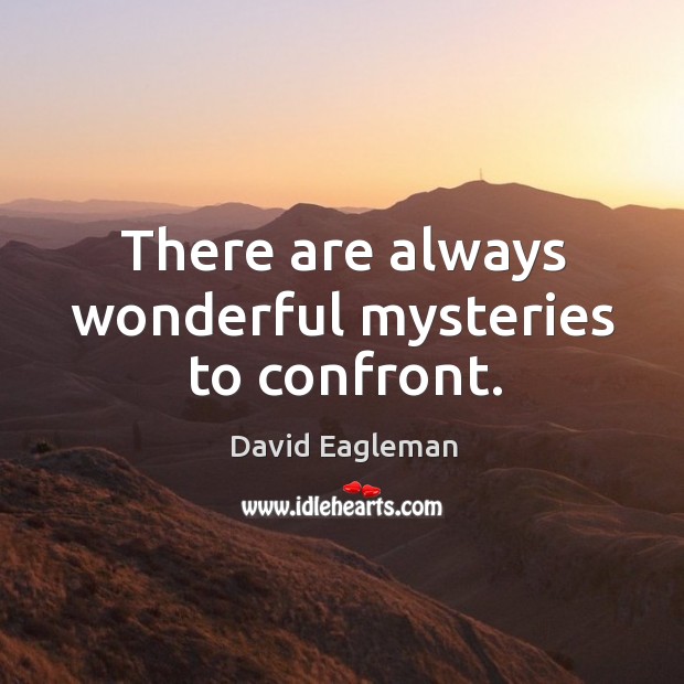 There are always wonderful mysteries to confront. David Eagleman Picture Quote