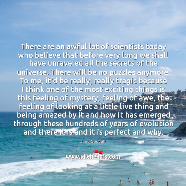 There are an awful lot of scientists today who believe that before Jane Goodall Picture Quote