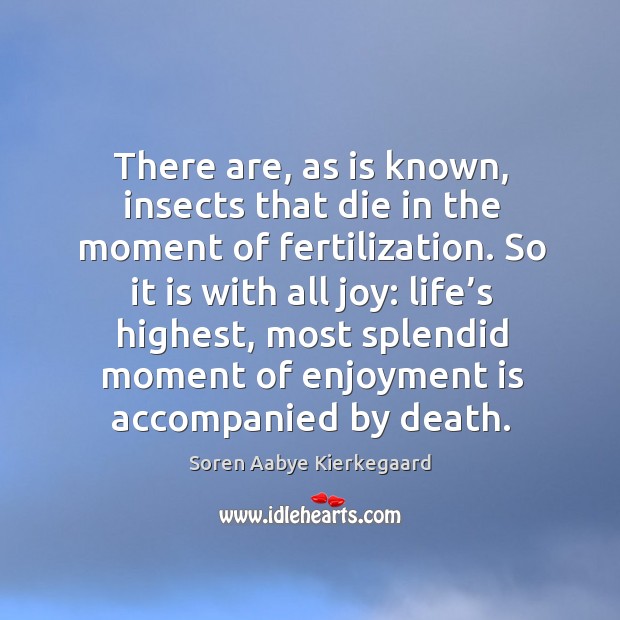 There are, as is known, insects that die in the moment of fertilization. Soren Aabye Kierkegaard Picture Quote