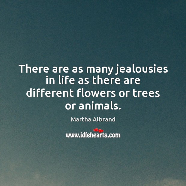 There are as many jealousies in life as there are different flowers or trees or animals. Image