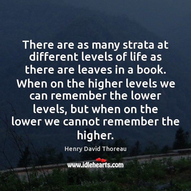 There are as many strata at different levels of life as there Henry David Thoreau Picture Quote