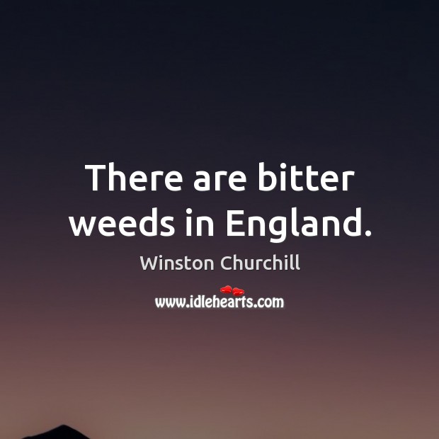 There are bitter weeds in England. Winston Churchill Picture Quote