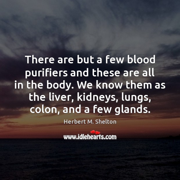 There are but a few blood purifiers and these are all in Herbert M. Shelton Picture Quote