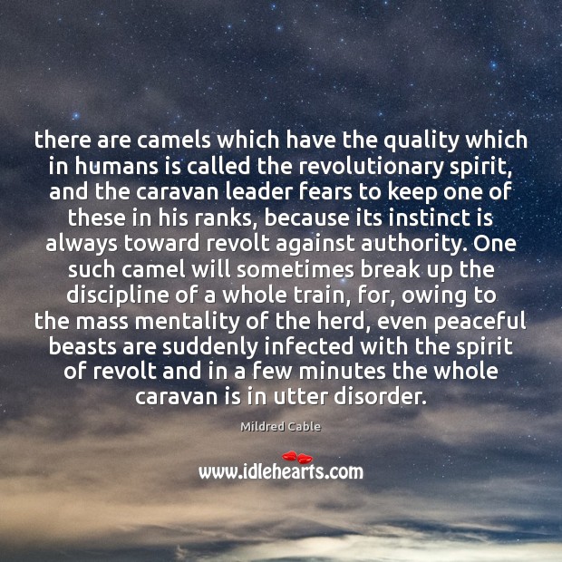 There are camels which have the quality which in humans is called Mildred Cable Picture Quote