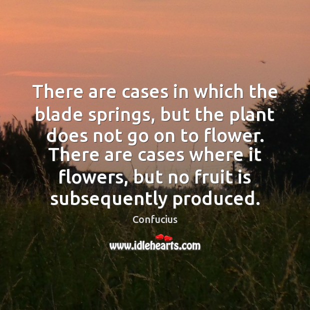 There are cases in which the blade springs, but the plant does Flowers Quotes Image