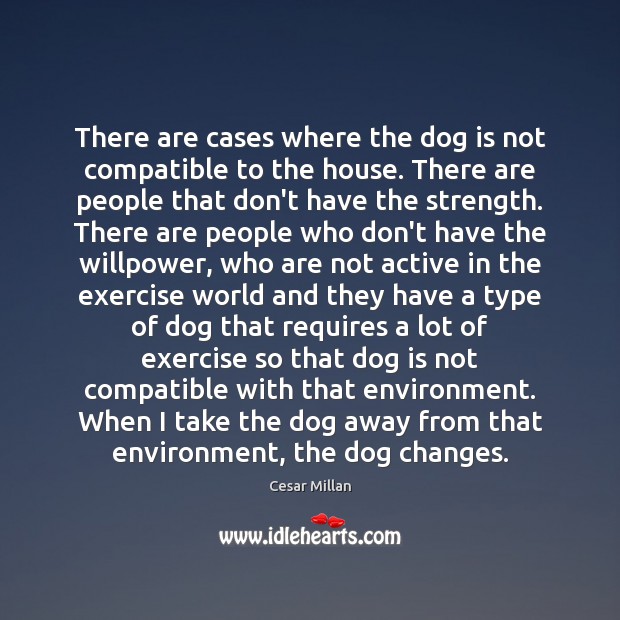 There are cases where the dog is not compatible to the house. Exercise Quotes Image