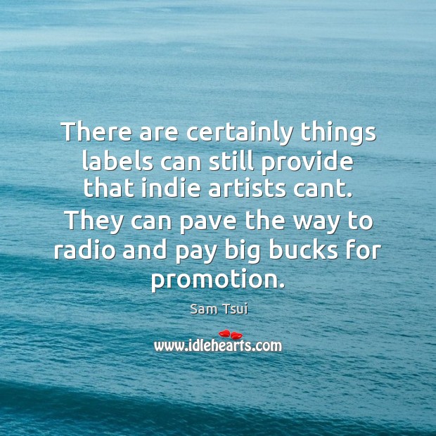 There are certainly things labels can still provide that indie artists cant. Sam Tsui Picture Quote