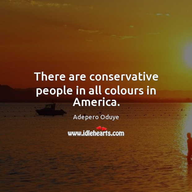 There are conservative people in all colours in America. Adepero Oduye Picture Quote