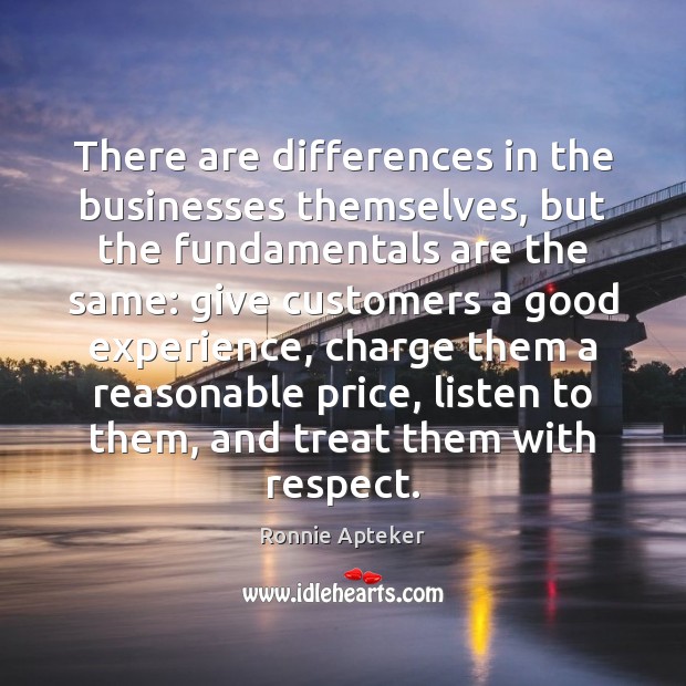 There are differences in the businesses themselves, but the fundamentals are the Ronnie Apteker Picture Quote