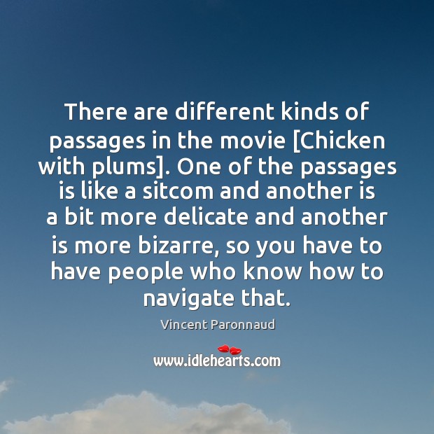 There are different kinds of passages in the movie [Chicken with plums]. Vincent Paronnaud Picture Quote
