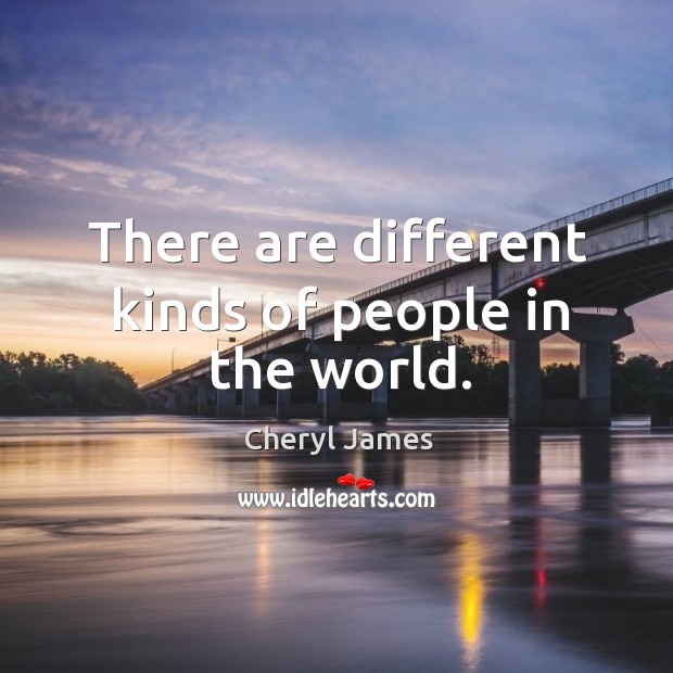 There are different kinds of people in the world. Cheryl James Picture Quote