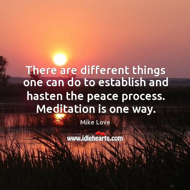 There are different things one can do to establish and hasten the peace process. Mike Love Picture Quote