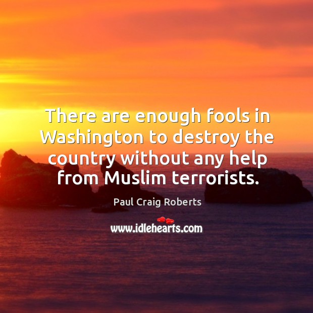 There are enough fools in Washington to destroy the country without any Paul Craig Roberts Picture Quote