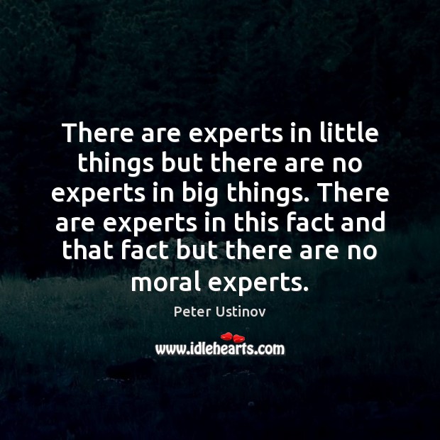 There are experts in little things but there are no experts in Peter Ustinov Picture Quote