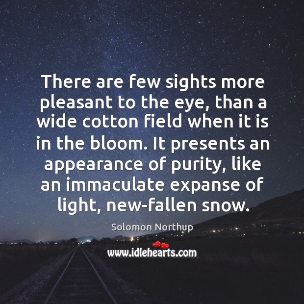 There are few sights more pleasant to the eye, than a wide Solomon Northup Picture Quote