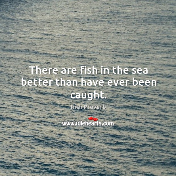 There are fish in the sea better than have ever been caught. Irish Proverbs Image