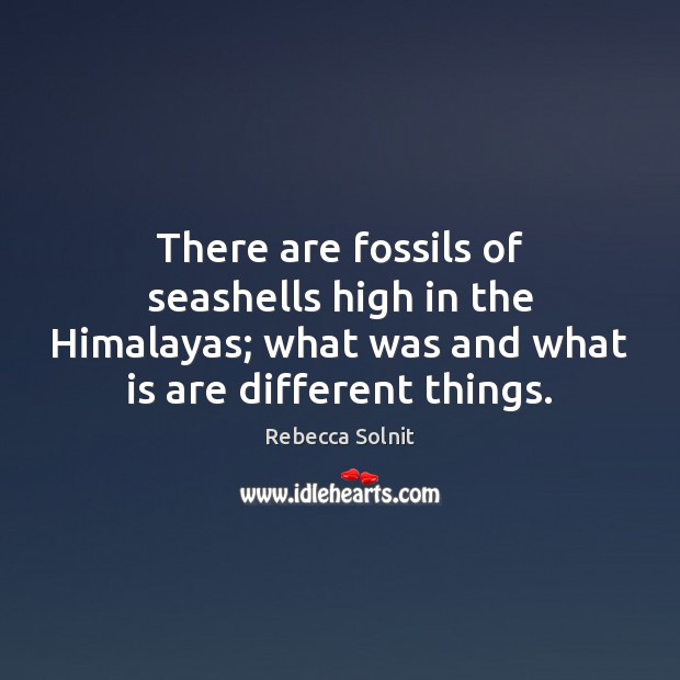 There are fossils of seashells high in the Himalayas; what was and Image