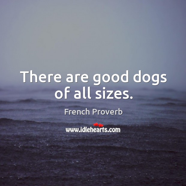 There are good dogs of all sizes. French Proverbs Image