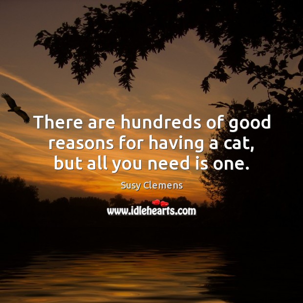 There are hundreds of good reasons for having a cat, but all you need is one. Susy Clemens Picture Quote
