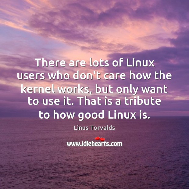 There are lots of Linux users who don’t care how the kernel Linus Torvalds Picture Quote