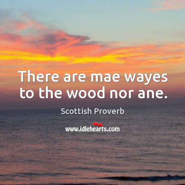 There are mae wayes to the wood nor ane. Image