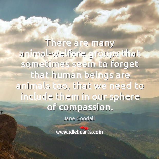 There are many animal-welfare groups that sometimes seem to forget that human Jane Goodall Picture Quote